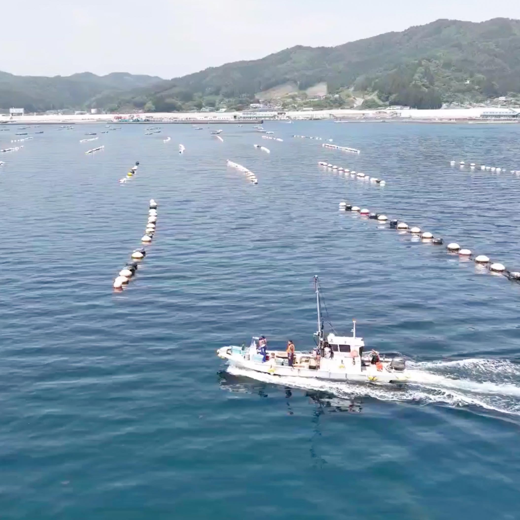 山田湾とは?
