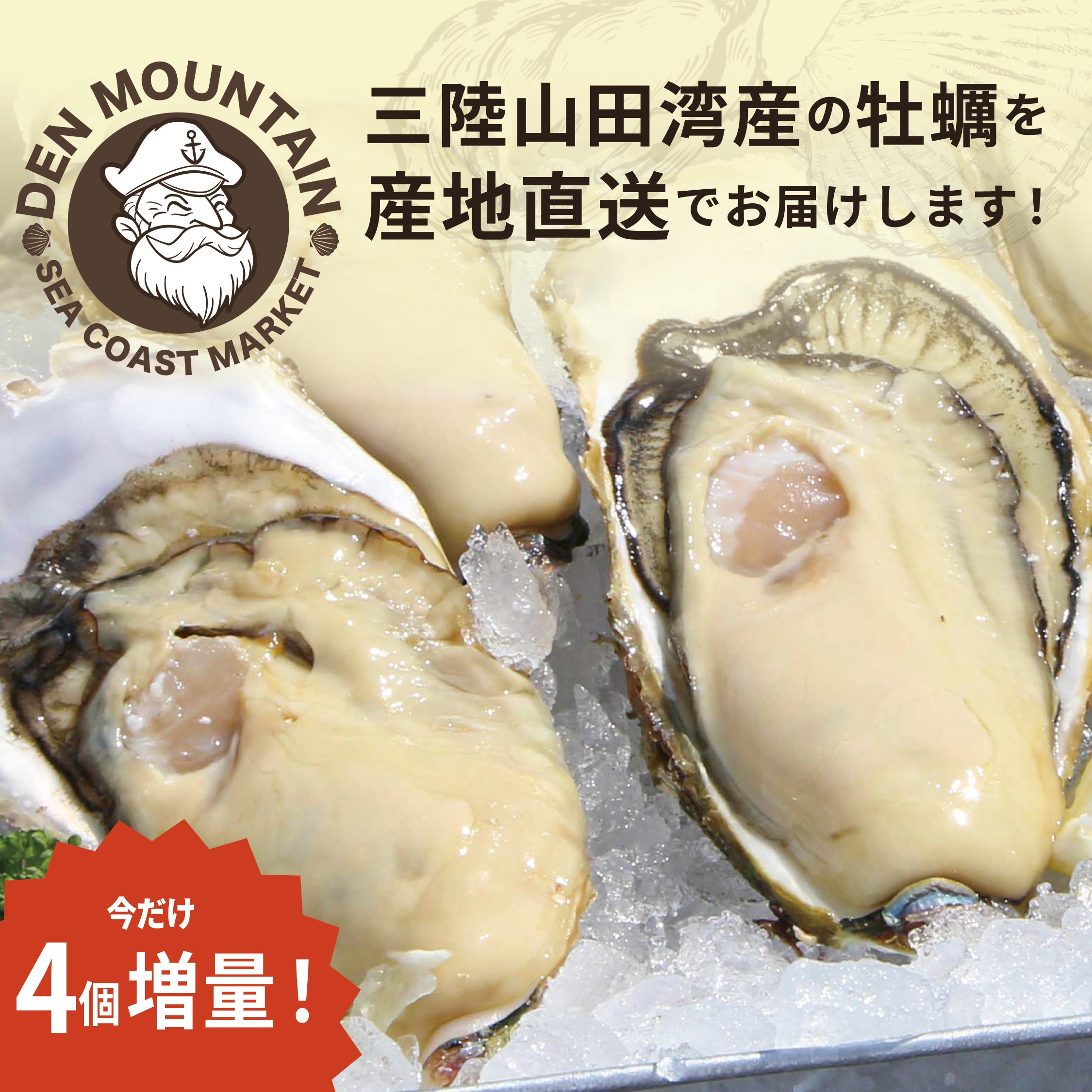 増量キャンペーン!岩手県山田町産|生食用 殻付き牡蠣20+4個