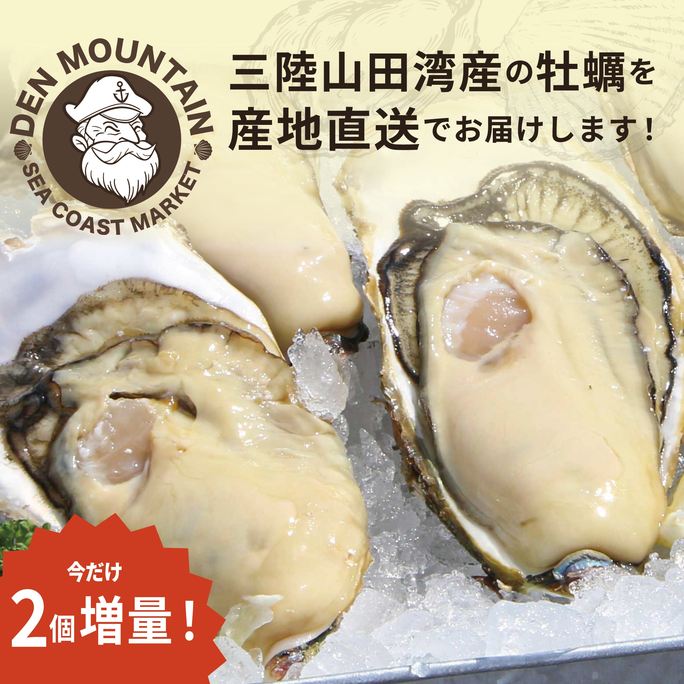 増量キャンペーン!岩手県山田町産|生食用 殻付き牡蠣10+2個